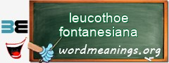 WordMeaning blackboard for leucothoe fontanesiana